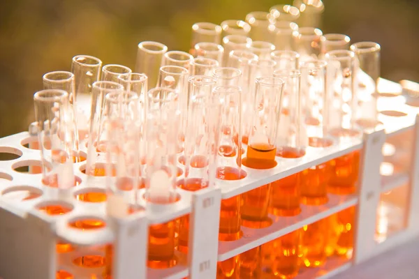 Laboratuvar bilim araştırma cam öğelerini damla birkaç test tüpleri birine ekleme. Bilimsel deneyde Bilim Araştırma Laboratuvarı.