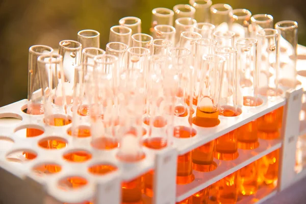 Laboratuvar bilim araştırma cam öğelerini damla birkaç test tüpleri birine ekleme. Bilimsel deneyde Bilim Araştırma Laboratuvarı.