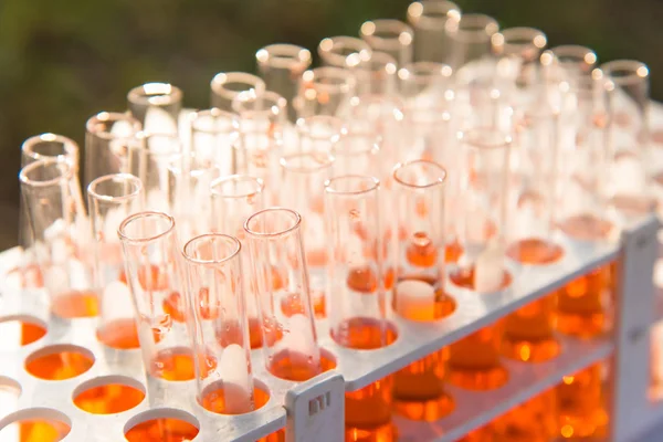 Laboratuvar bilim araştırma cam öğelerini damla birkaç test tüpleri birine ekleme. Bilimsel deneyde Bilim Araştırma Laboratuvarı.