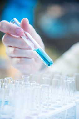 Laboratuvar bilim araştırma cam tüp birkaç test tüpleri. Bilimsel deneyde bir bilim araştırma laboratuvarı.