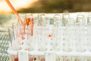 Laboratuvar bilim araştırma 