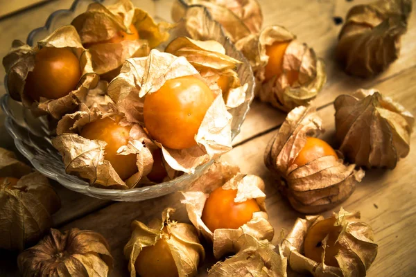 Kapstachelbeerfrucht — Stockfoto