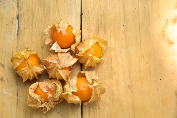 Kapstachelbeerfrucht — Stockfoto