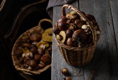 Mantarlar eski tahtalardan ve bir sandalyeden toplanmış sepetlerin içinde yağlıdır. Siyah fotoğraf.