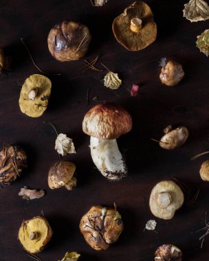 Kahverengi ahşap arka planda yaprakları ve iğneleri olan orman mantarları.