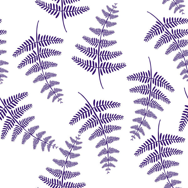 Vector botanical illustration of fern leaf. Isolated outline modern drawing of tropical plant. Set of exotic fern leaves silhouettes. 