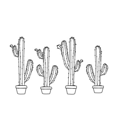 İllüstrasyon - Tencerede kaktüs 