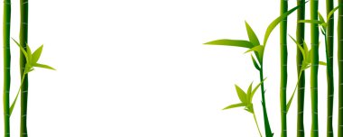 Bambu çizimi. Parmak izi, Asya kaplıcası, masaj, kozmetik paketi, malzemeler için tasarım. Kopya alanı ile yatay arkaplan. 