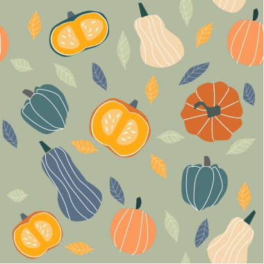 Sonbahar çizimi - balkabağı, yapraklar. Beyaz bir arkaplanda