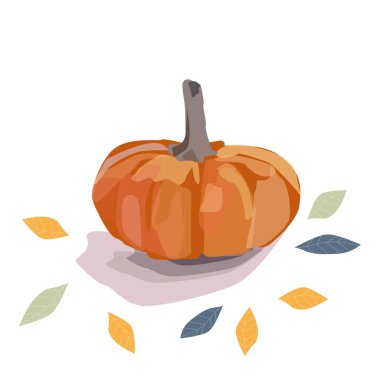 Turuncu kabak illüstrasyon. Sonbahar balkabağı, sebze grafik simgesi veya beyaz arka plan üzerine baskı. 