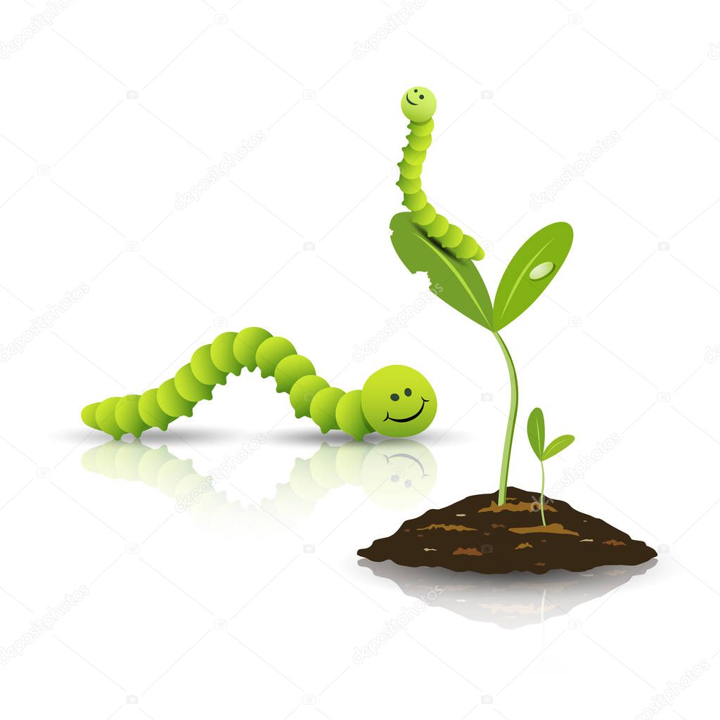 Green tea worm and small tree with soil isolated on white background, vector illustration
