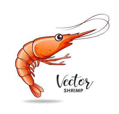 Karides tasarımı, beyaz arkaplanda izole edilmiş vektör, illüstrasyon