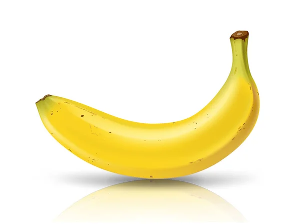 Cavendish Thai Banana Design Realista Isolado Fundo Branco Eps Ilustração —  Vetores de Stock