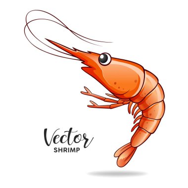Karides vektörü, gerçek gibi popüler yiyecek, beyaz arka planda izole edilmiş, Eps 10 vektör illüstrasyonu