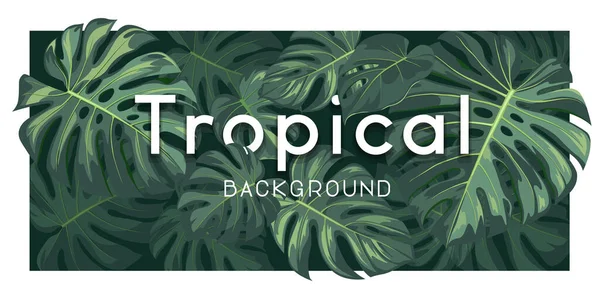 Fondo Vector Banner Hoja Verde Monstera Tropical Ilustración Eps — Vector de stock