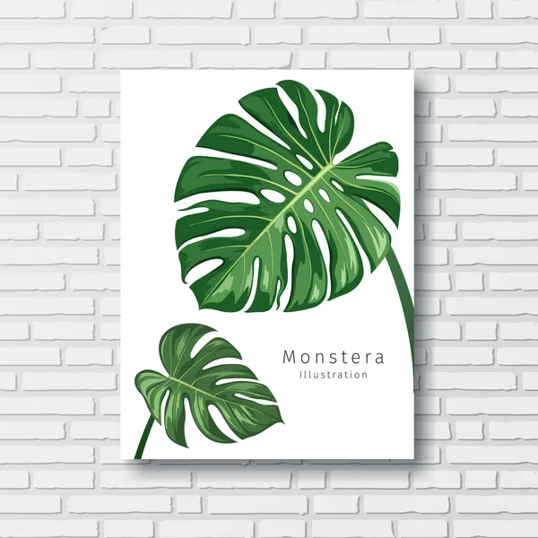 Monstera Vert Laisser Cadre Blanc Sur Fond Mur Bloc Illustration — Image vectorielle