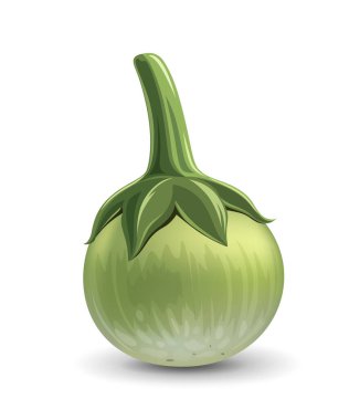 Tayland patlıcan yeşili taze gerçekçi tasarım, beyaz arka planda izole edilmiş, Eps 10 vektör