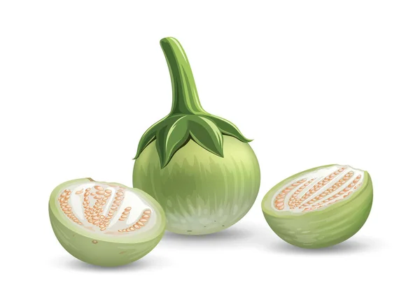 Eggplant Διάνυσμα Και Μελιτζάνα Κοπεί Μισό Ρεαλιστικό Σχεδιασμό Απομονώνονται Λευκό — Διανυσματικό Αρχείο