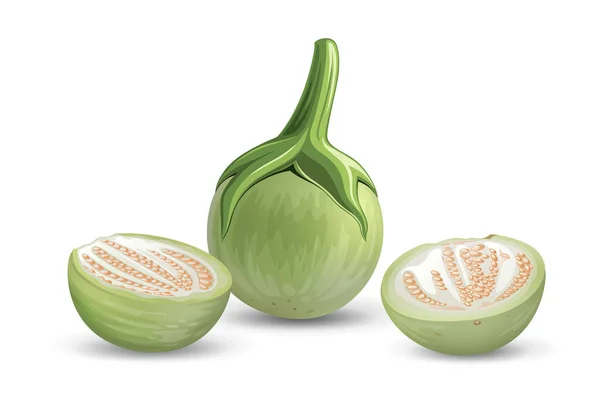 Eggplant Vector Green 그리고 배경에 현실적 디자인 Eps — 스톡 벡터