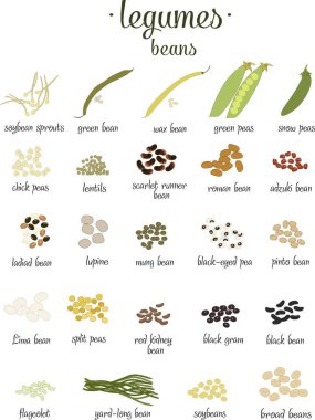 Vector set of Legumes and beans in flat style isolated on white clipart