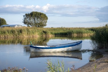 Sakin rushy durgun yalnız teknede akşam güneşi tarafından yaktı