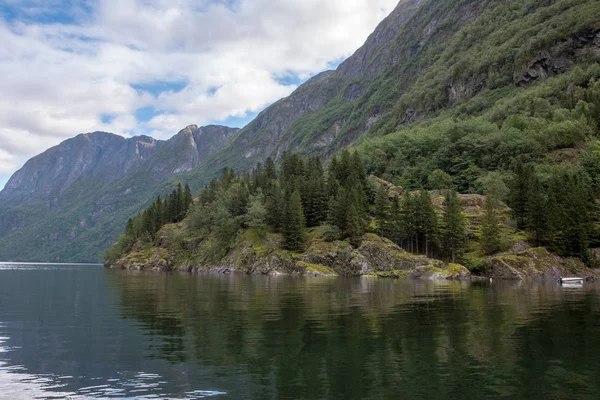 Paysage Tranquille Avec Sapins Sur Côte Fjord Gudvangen Norvège — Photo