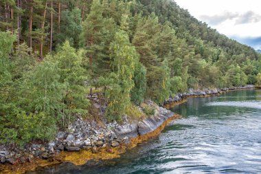 Norveç fiyortlarında sonbaharın başlangıcı