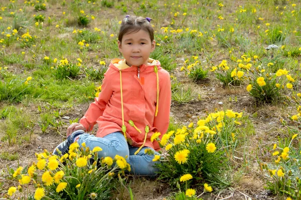 Kleines Chukchi Mädchen Sitzt Inmitten Der Blühenden Löwenzahn — Stockfoto