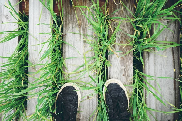 Close Photo Black Shoes Wooden Floor Green Grass — Stock Photo, Image
