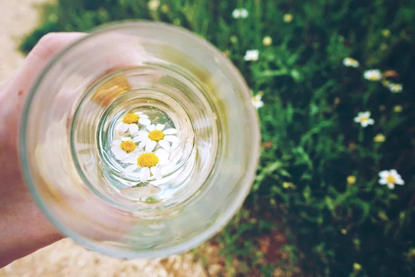 Weibliche Hand Mit Glas Wasser Mit White Daisy Blumen Auf — Stockfoto