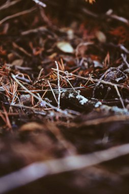 güzel doğa arka plan, Sonbahar ruh hali