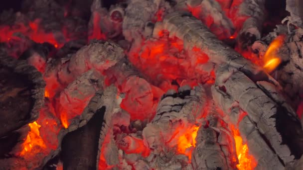 用木炭和炉子上的木柴来关闭发光的火焰 抽象背景 — 图库视频影像