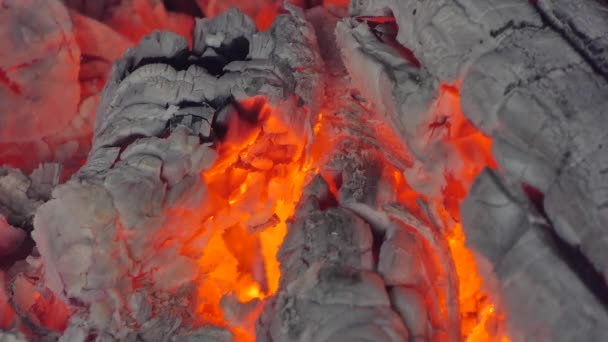 Kömür Odun Fırını Içinde Parlayan Alev Kapatın Arka — Stok video