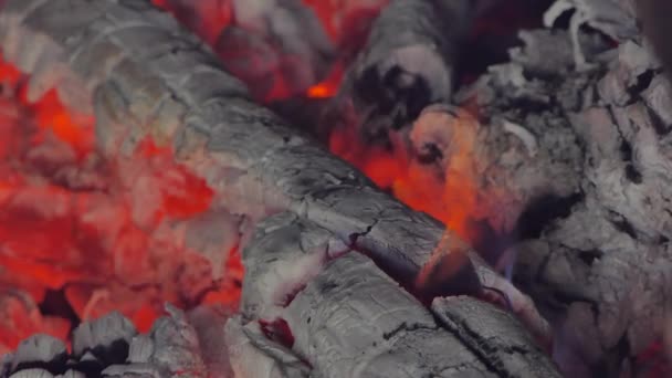 Close Glowing Flame Charcoal Firewood Furnn Абстрактный Фон — стоковое видео