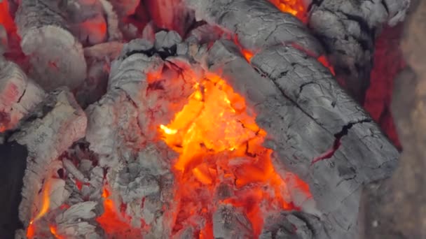 Ein Schuss Glühender Flamme Aus Holzkohle Und Brennholz Ofen Abstrakte — Stockvideo