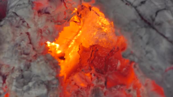 Gros Plan Flamme Brillante Charbon Bois Chauffage Dans Four Milieux — Video