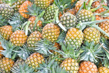 Taze ananas (Ananas comosus) içinde çarşı vasıl Khlong Lat Mayom yüzen pazarı, Bangkok, Tayland.