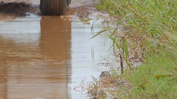 Rueda Del Vehículo Carretera Que Sale Peligro Agujero Barro Barro — Vídeo de stock