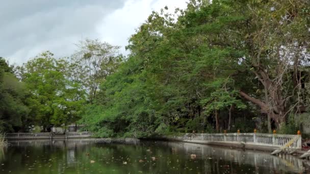 Φύλλα Που Πέφτουν Φθινόπωρο Νερό Δημόσιο Πάρκο — Αρχείο Βίντεο