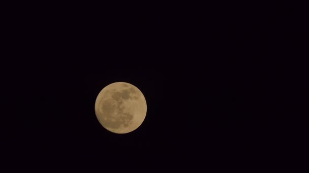 Momento Luna Piena Tempo Reale — Video Stock