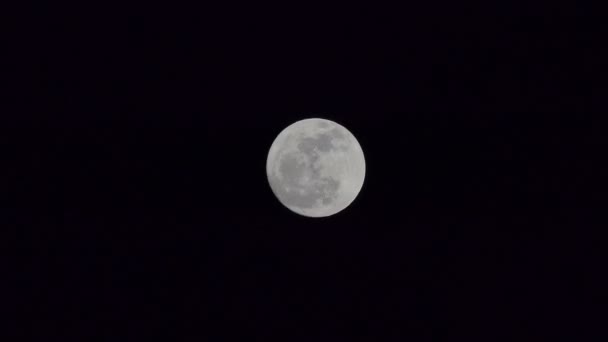 Chwili Pełni Księżyca Czasie Rzeczywistym — Wideo stockowe