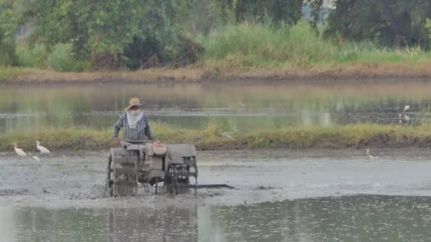 Exploitant Agricole Conduisant Tracteur Agricole Sur Terrain Préparation Prochaine Préparation — Video