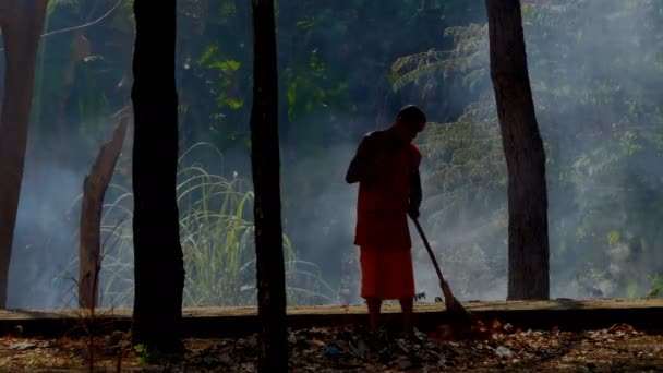 Silueta Hombres Barrer Limpiar Las Hojas Secas Jardín Otoño — Vídeo de stock