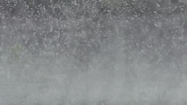 Tropfen Wasser Von Vielen Mini Sprinkler Bewässerung Fußballfeld — Stockvideo