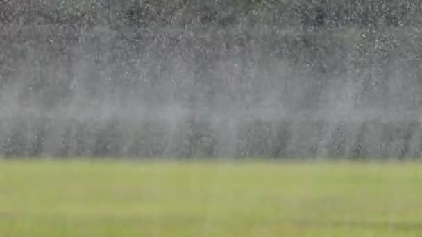 Gota Agua Muchos Mini Riego Por Aspersión Campo Fútbol — Vídeo de stock