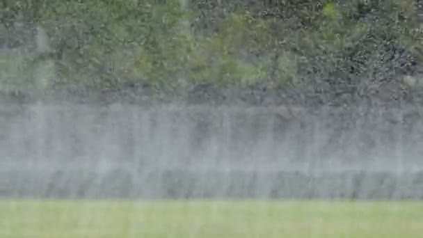 Goccia Acqua Molti Mini Irrigatori Irrigazione Nel Campo Calcio — Video Stock