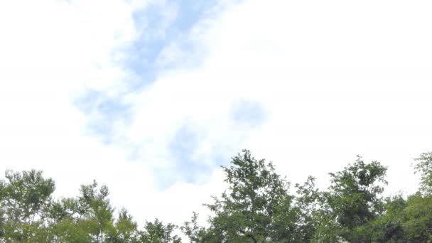 Mouvement Nuage Sur Ciel Bleu Avant Dans Jour Pluie Temps — Video