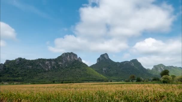 Zeitraffer Der Wolke Der Regenzeit Maisfeld Tal — Stockvideo