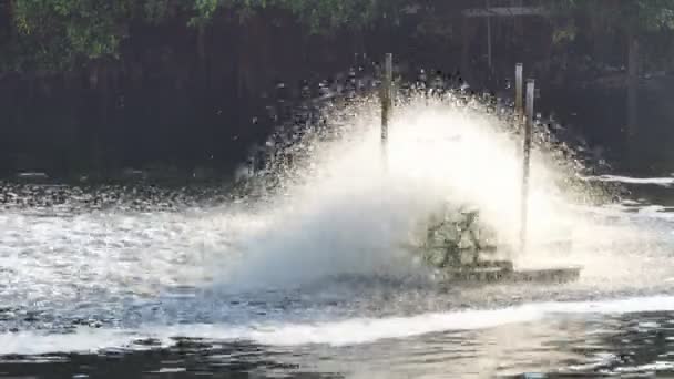 Schaufelradbelüfter Schwarzem Wasser Auf Kanal Abwasserbehandlung Durch Einfüllen Von Sauerstoff — Stockvideo