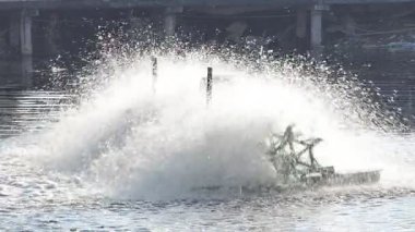 Kanaldaki siyah suda kürek çekenlerin yavaş hareketi, oksijeni suya doldurarak atık su arıtımı.